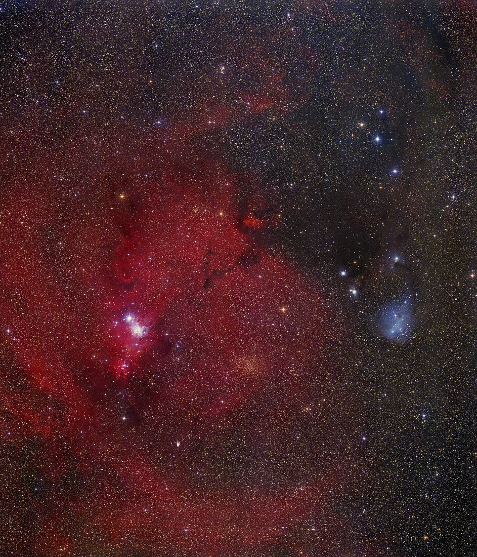 NGC 2264 nebulae