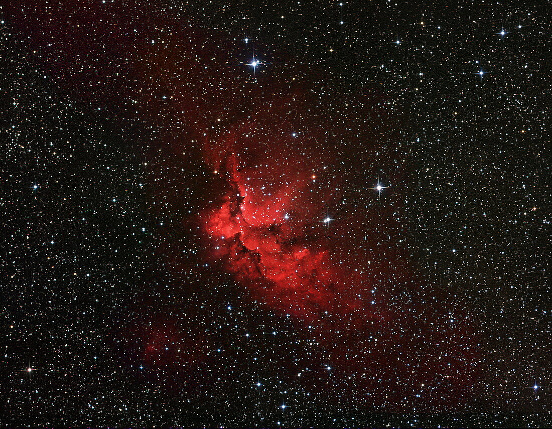 Emission nebula Sh2-142