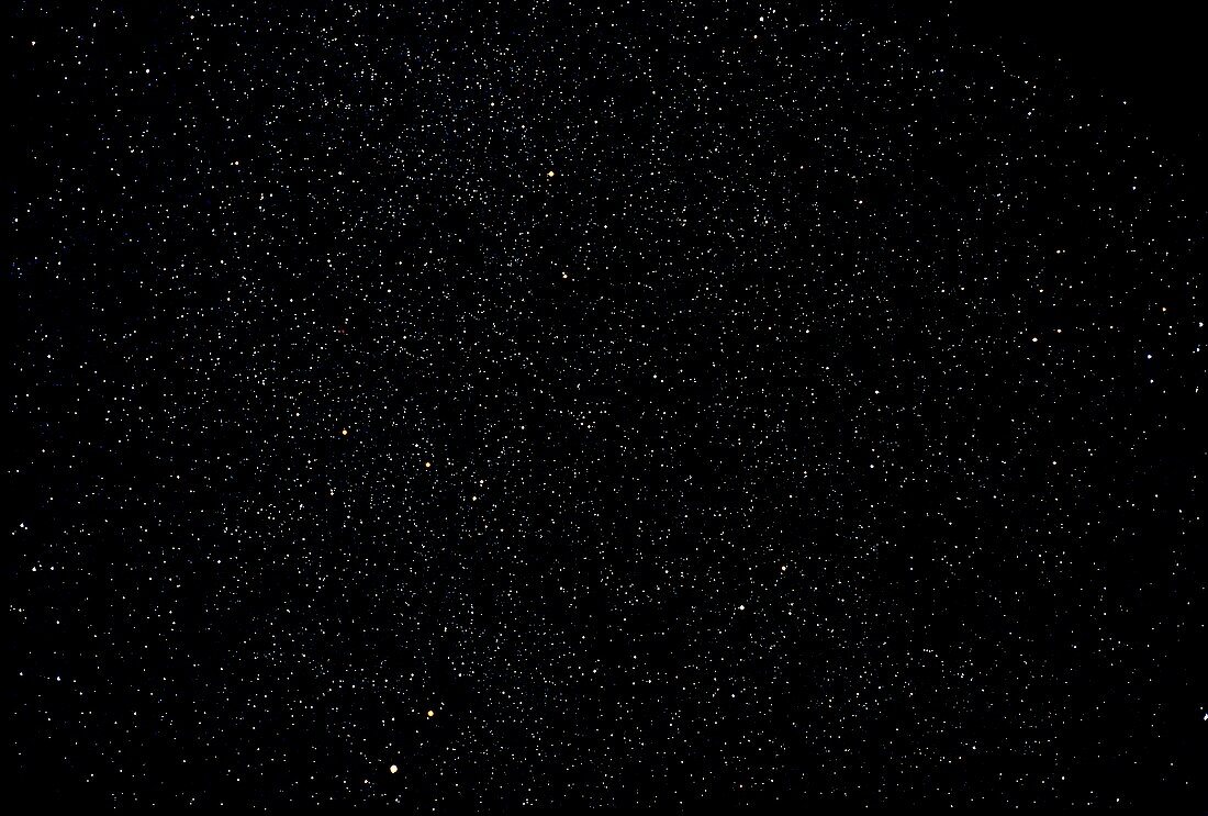 Starry sky: Vulpecula and Aquila