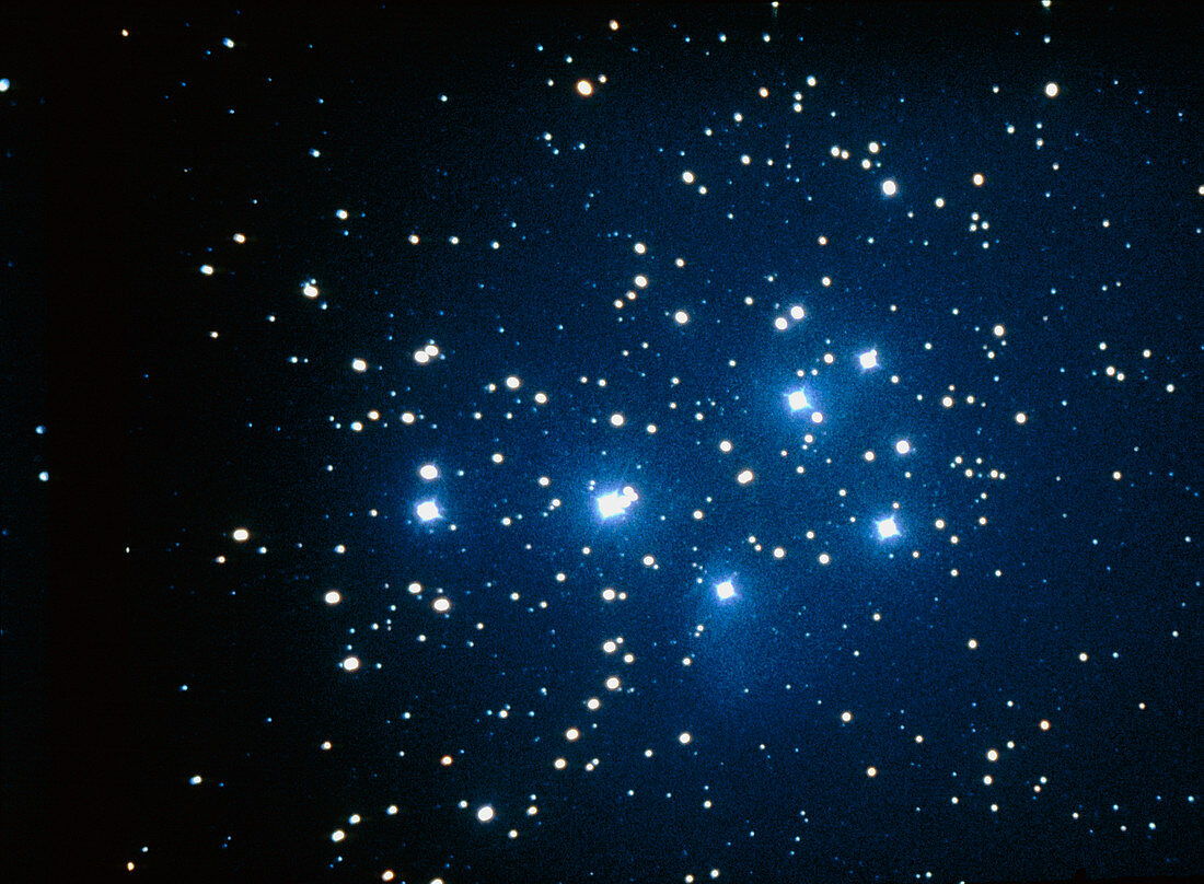 Pleiades open star cluster