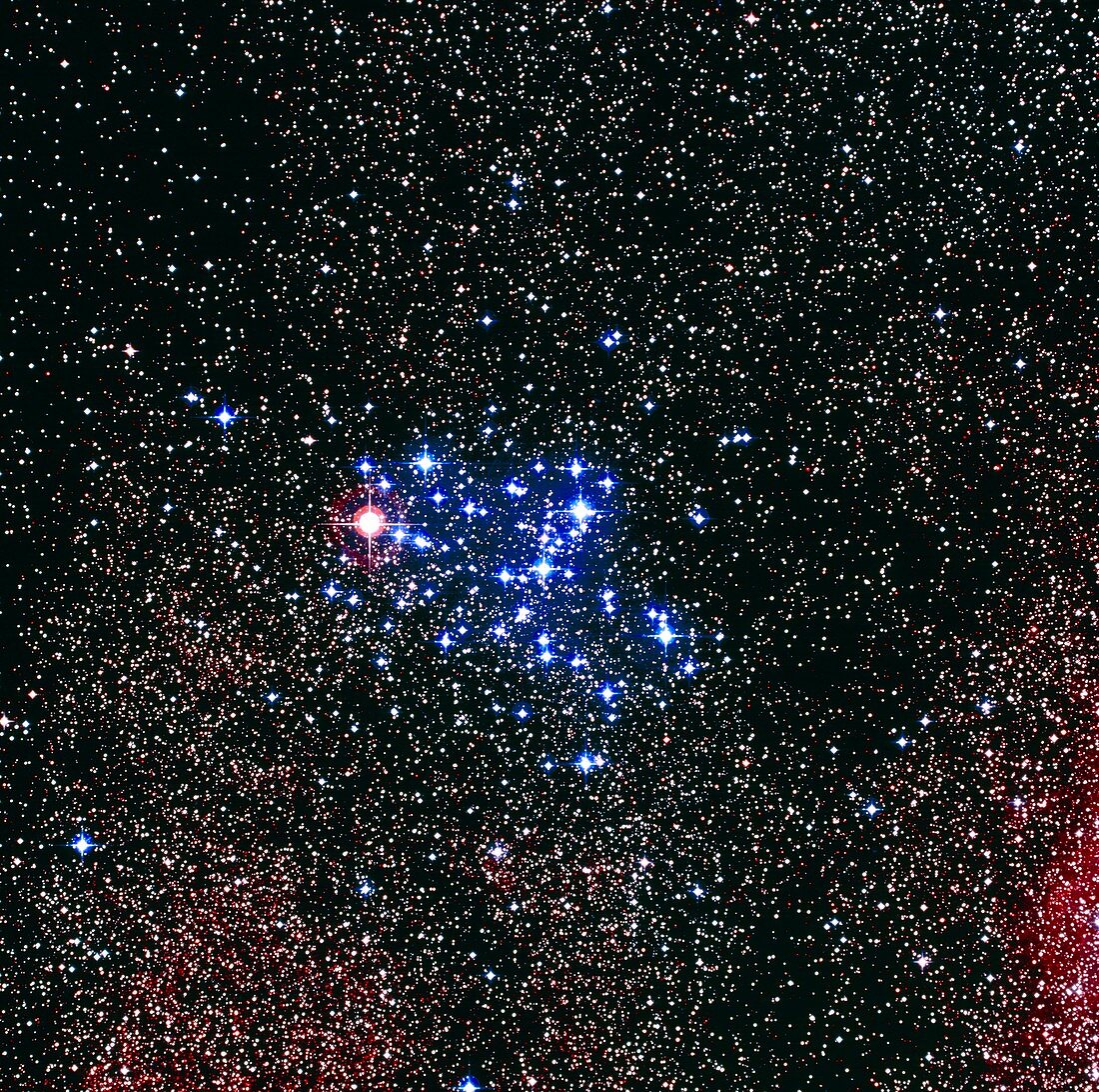 Optical image of the Butterfly star cluster,M6