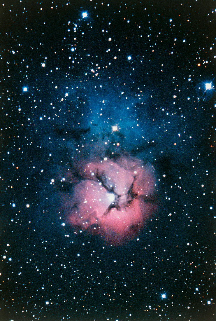 Optical image of the Trifid Nebula,M20