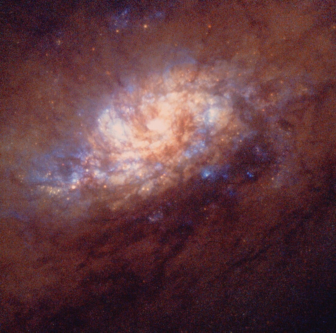 HST image of star birth in galaxy NGC 1808