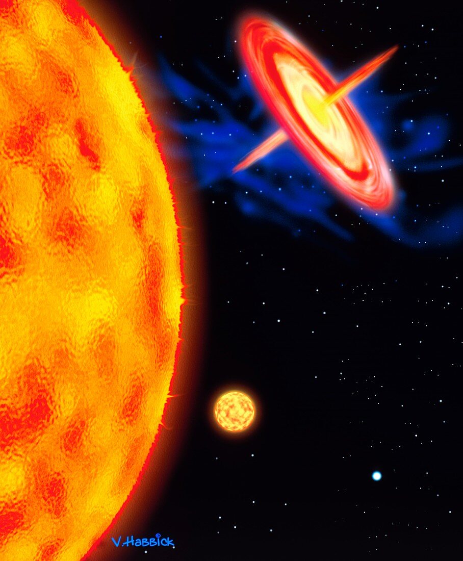 Computer artwork of stages in a star's life
