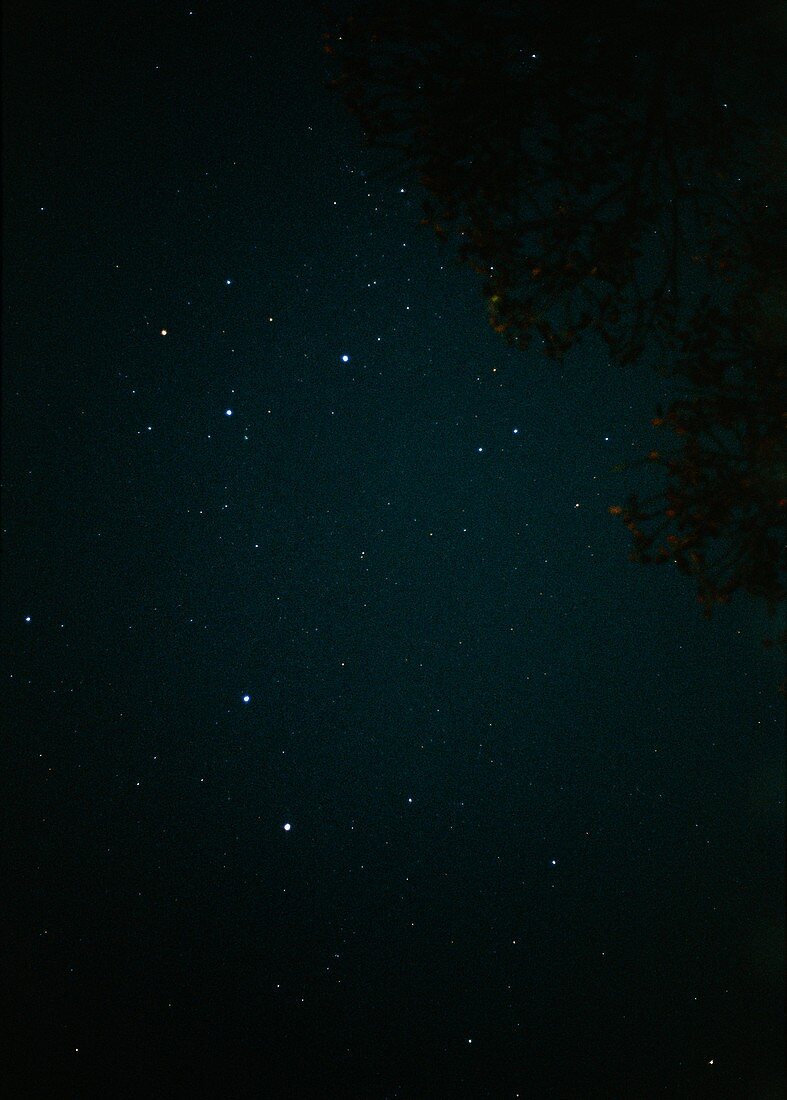 Southern hemisphere night sky