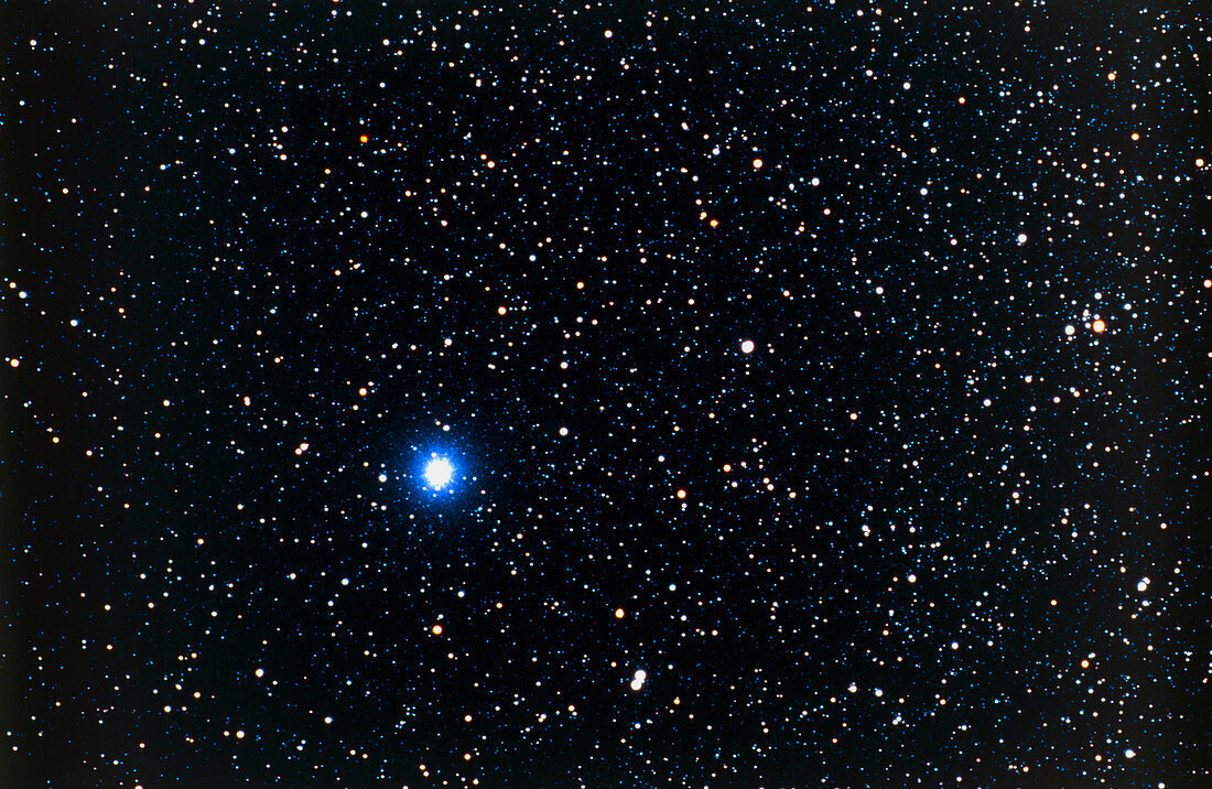 Optical photo of Vega,the brightest star in Lyra
