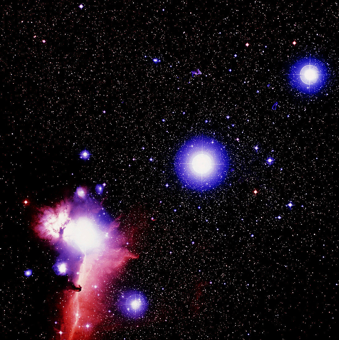 Optical image of the stars of Orion's belt