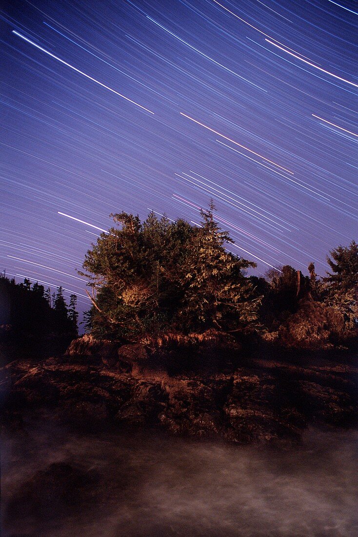 Star trails