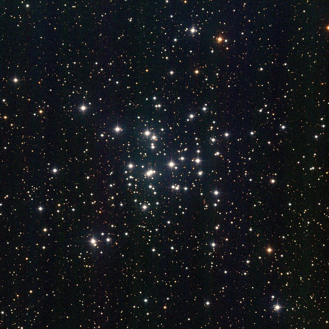 Star cluster M36