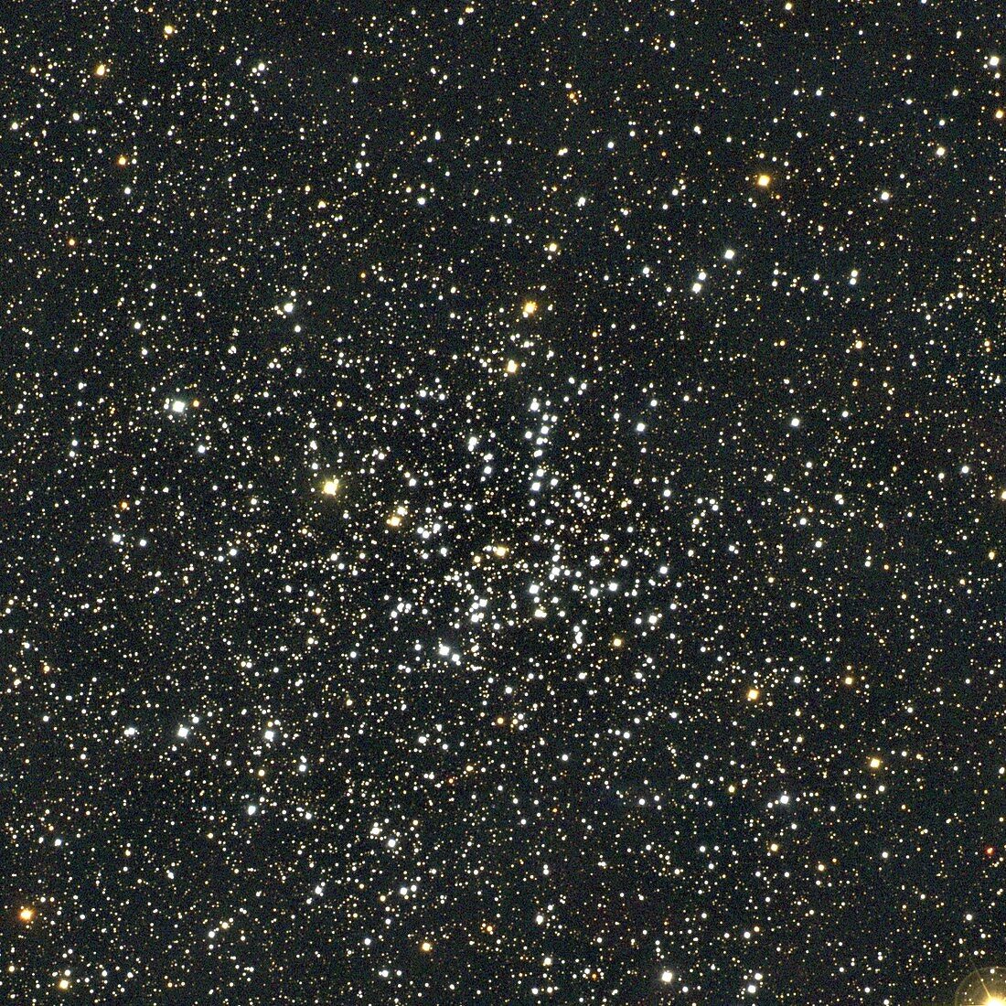 Open star cluster M38