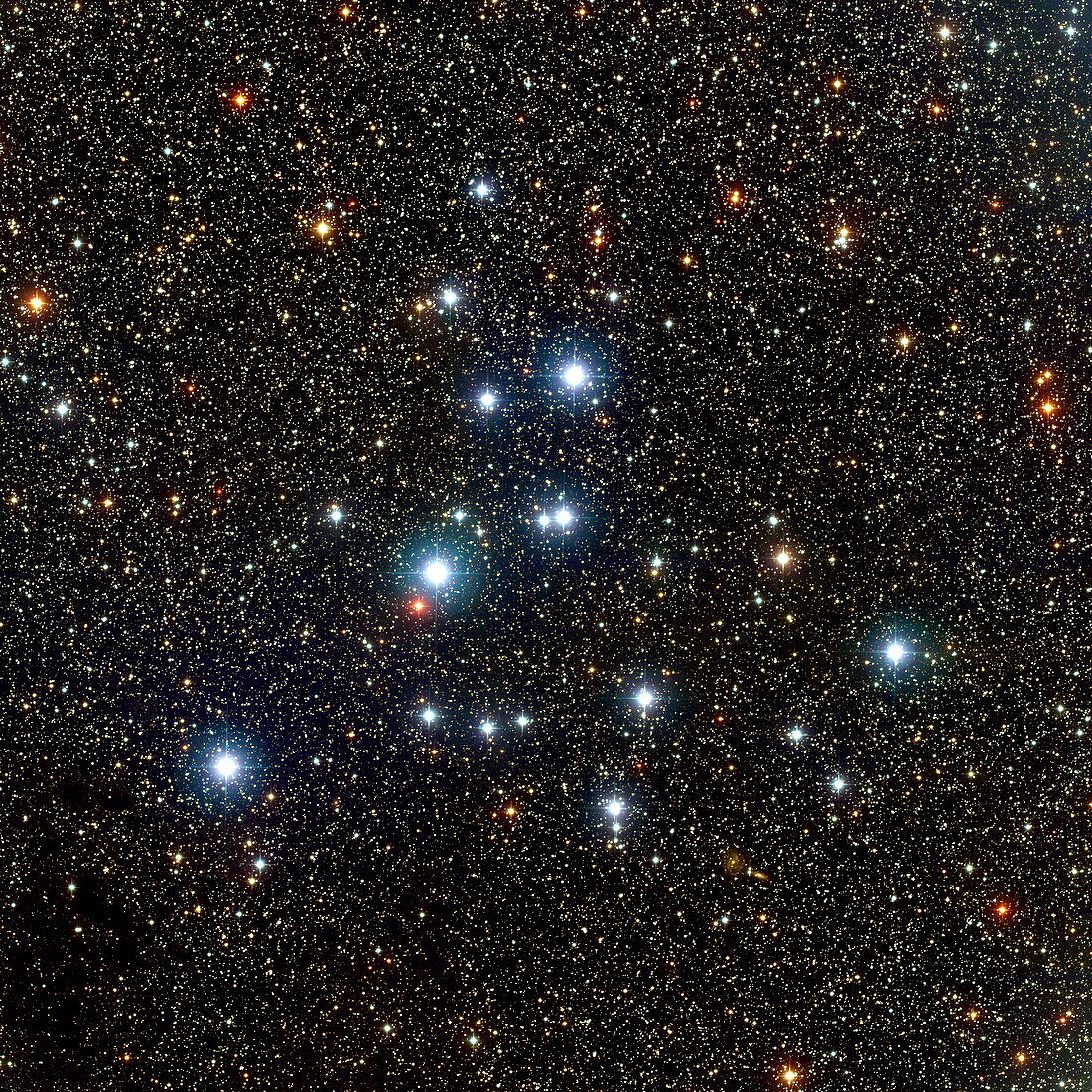 Open star cluster M39