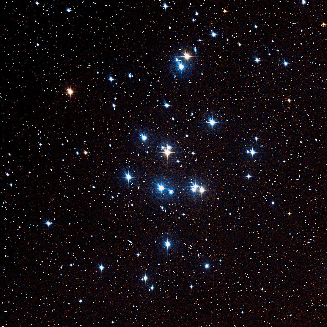 Beehive star cluster (M44)