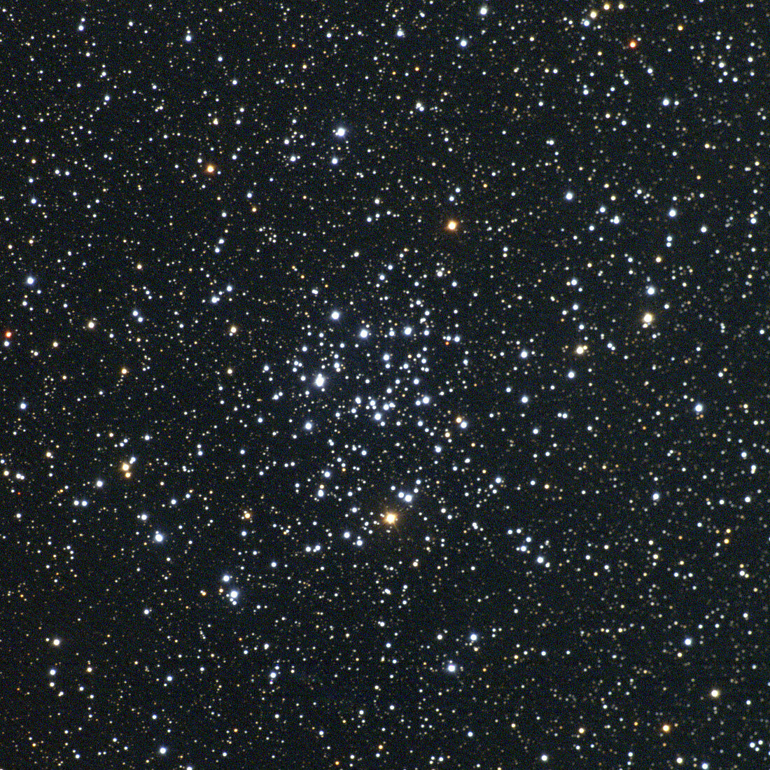 Open star cluster M50