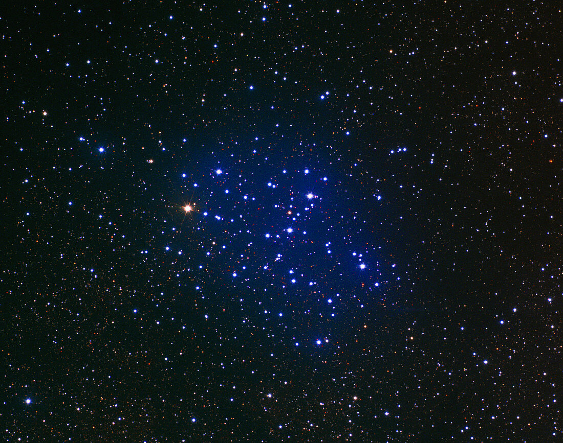 Open star cluster M6