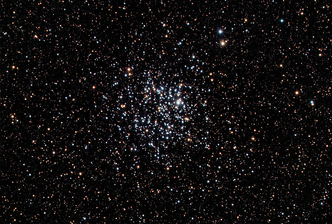 Wild Duck star cluster (M11)