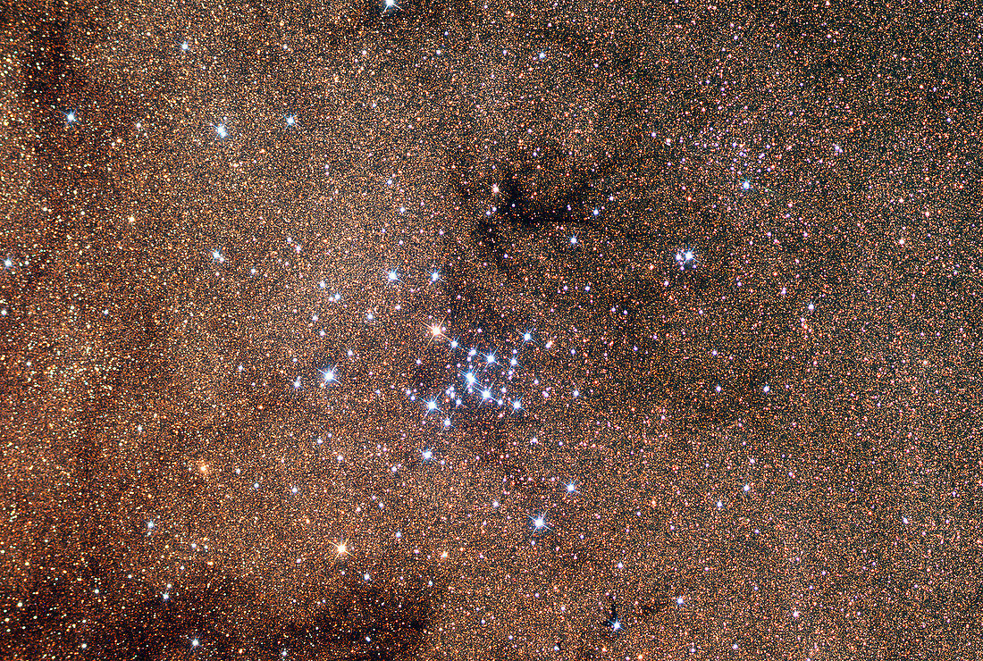 Open star cluster (M7)