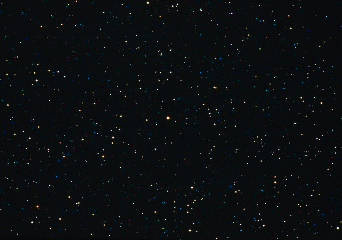 Optical photograph of the variable star Mira