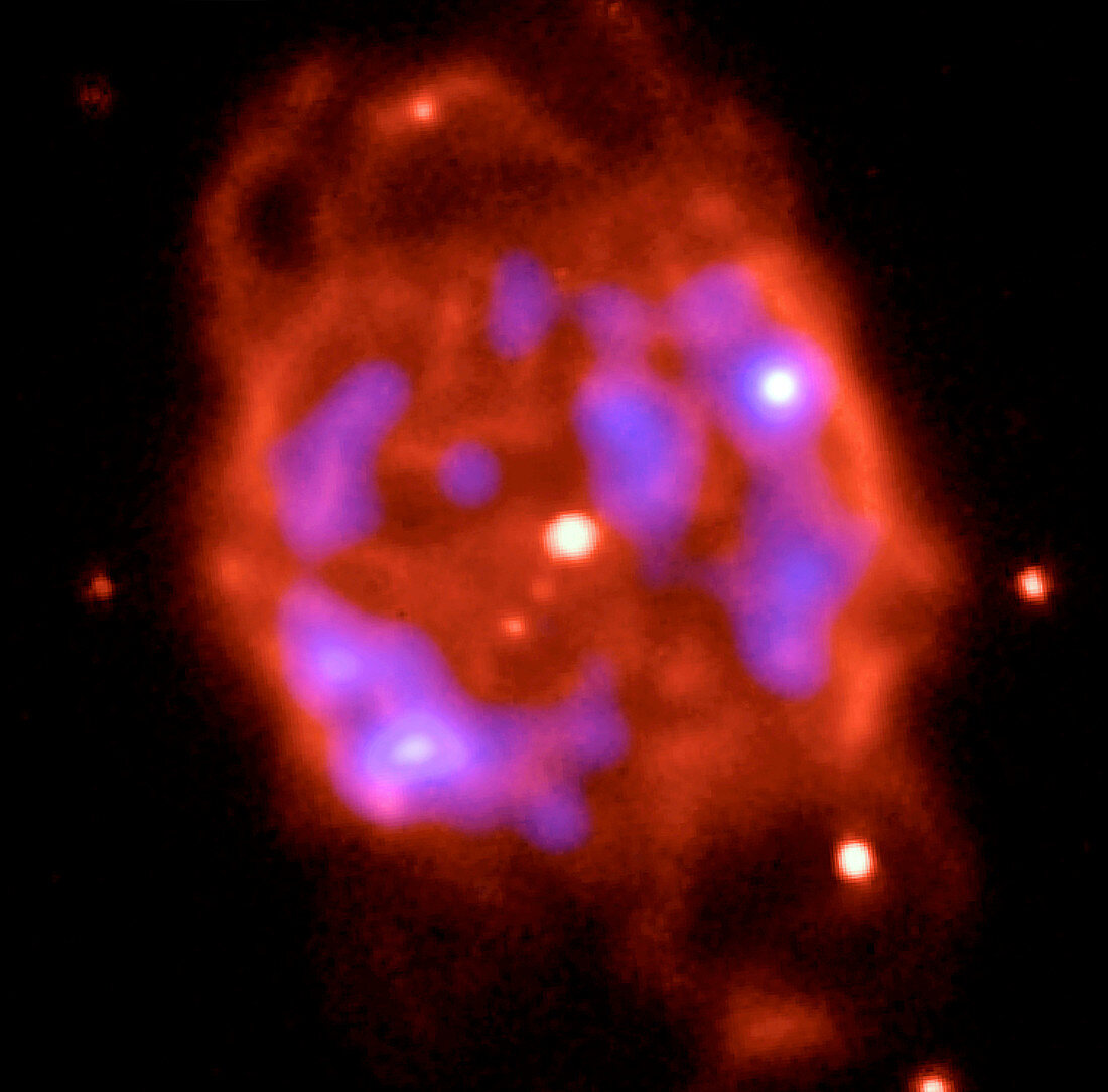 Planetary nebula NGC 40,Chandra image