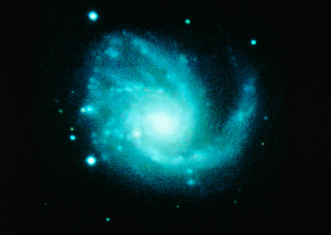 Supernova in spiral galaxy M99