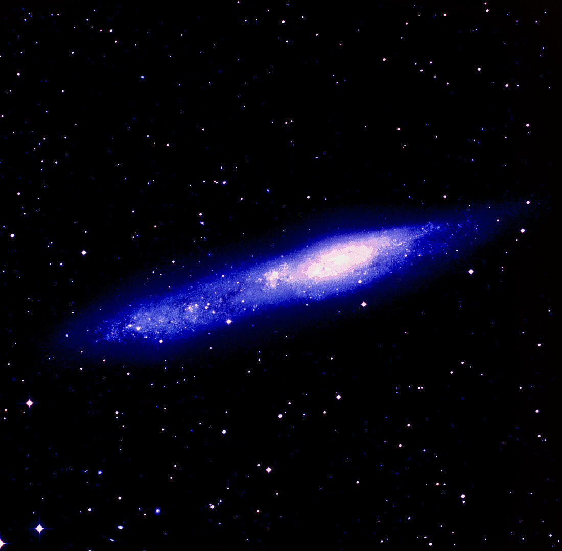 Optical image of the irregular galaxy NGC 55