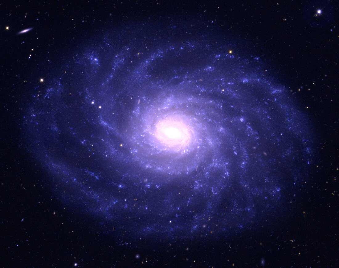 Galaxy NGC 3486