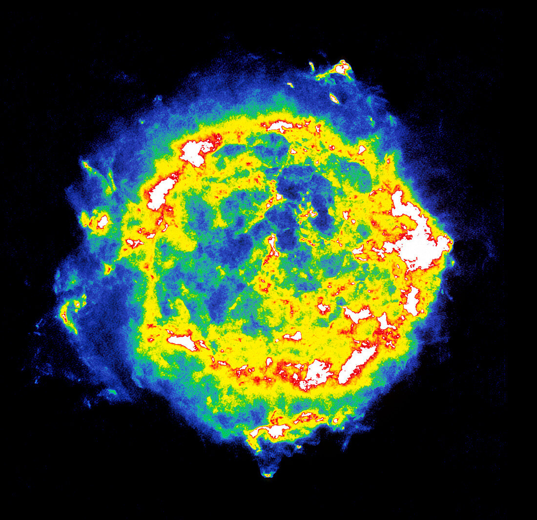 Coloured radio image of Cas-A supernova remnant