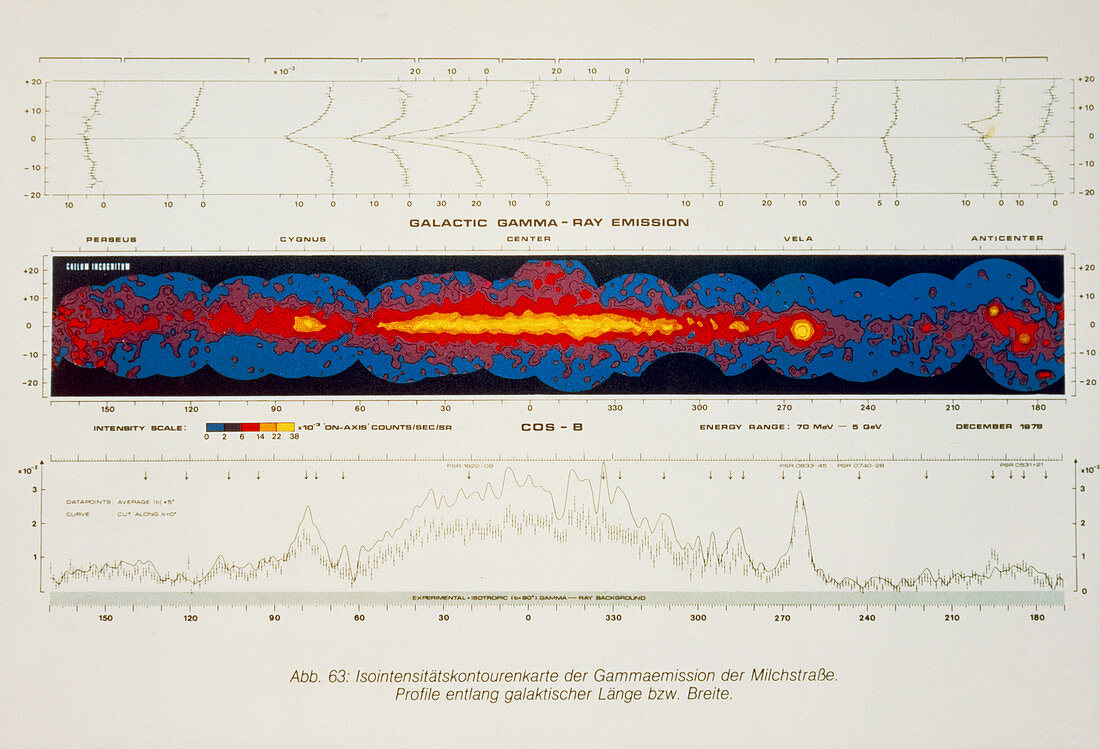 Cos-B gamma-ray map of the band of the Milky Way