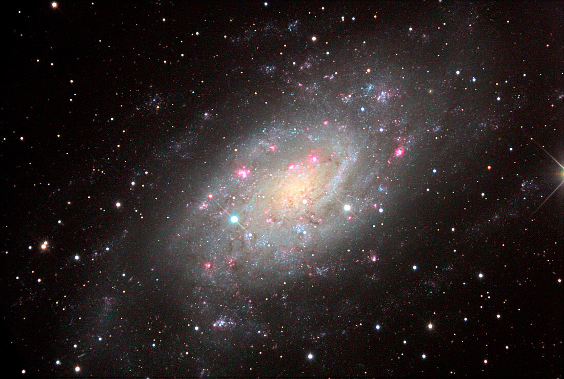 Spiral galaxy NGC 2403,optical image