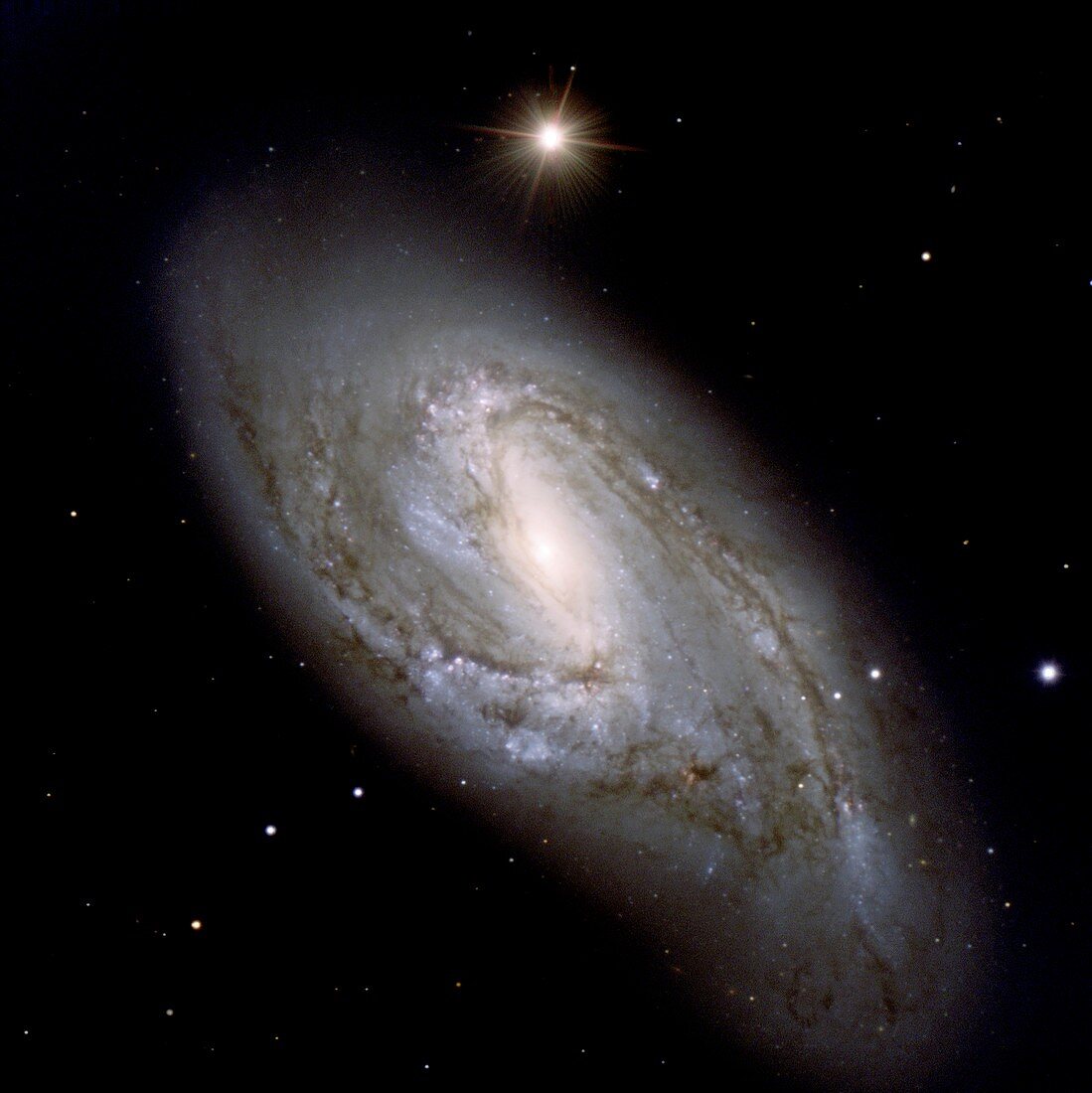 Spiral galaxy M66,optical image