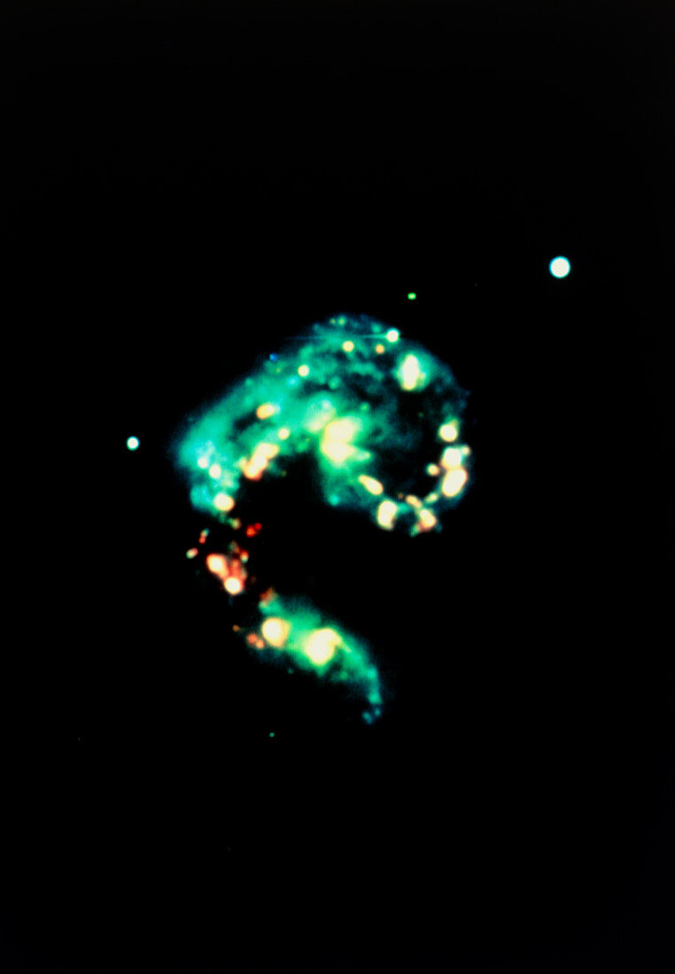 Optical image of The Antennae,NGC 4038 & 4039