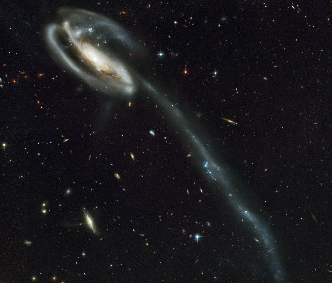 The Tadpole colliding galaxies