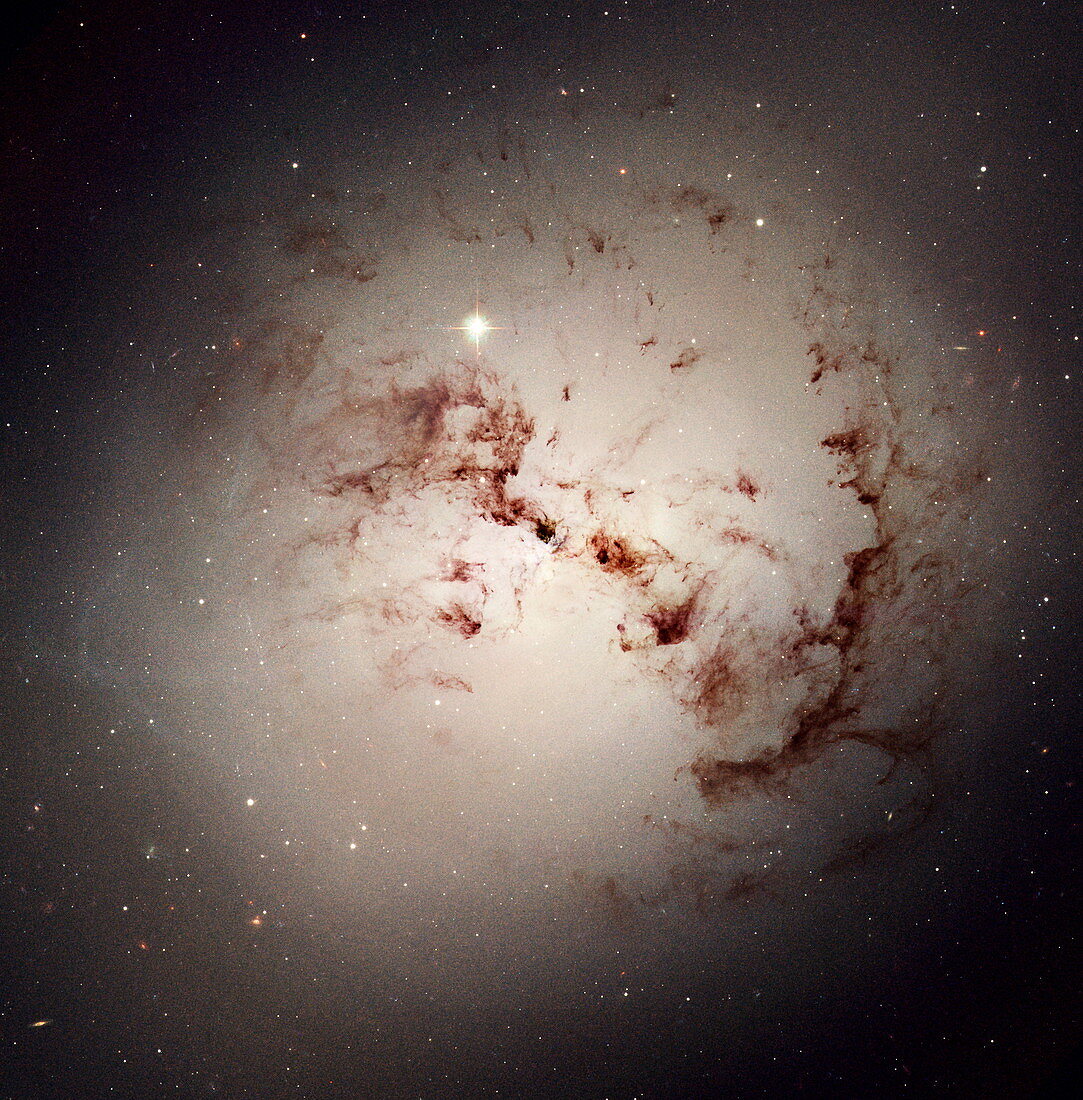 Elliptical galaxy NGC 1316,HST image