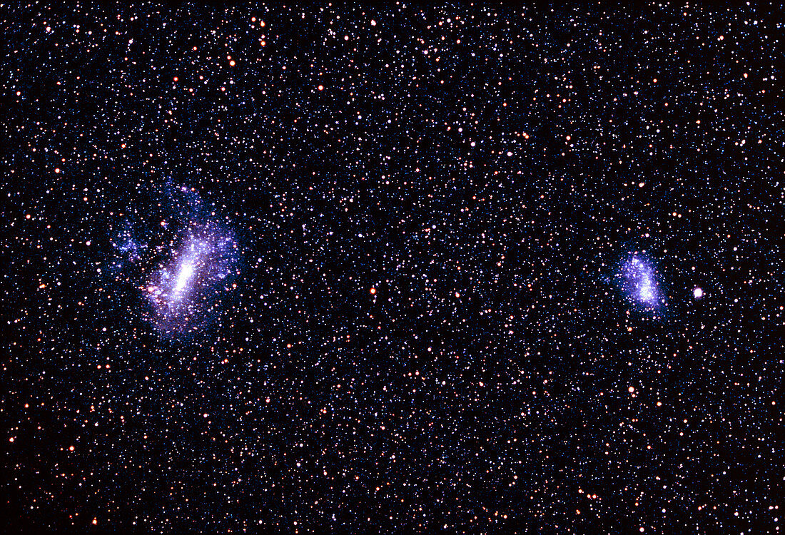 The Large and Small Magellanic Clouds