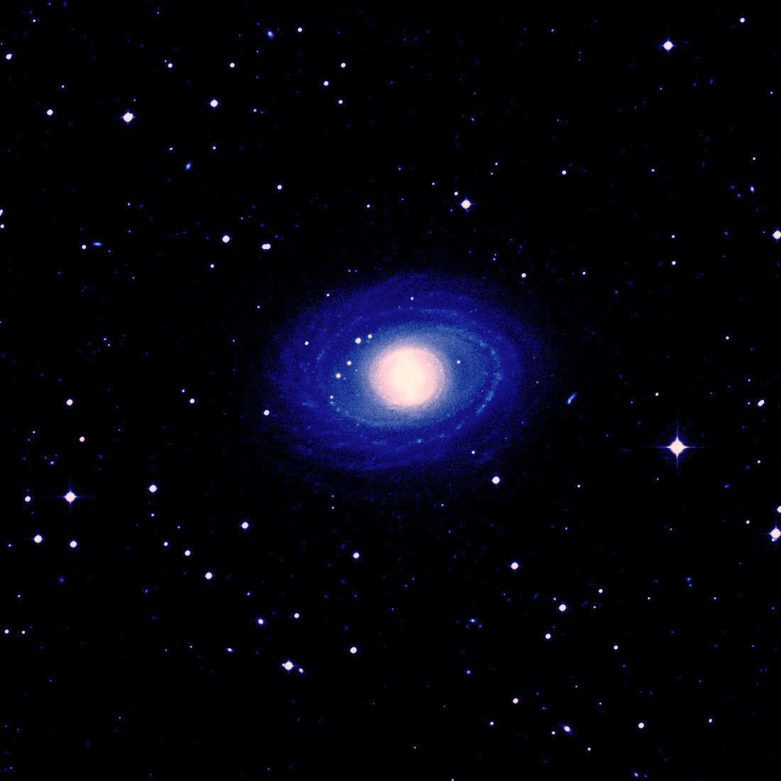 Galaxy NGC 1398