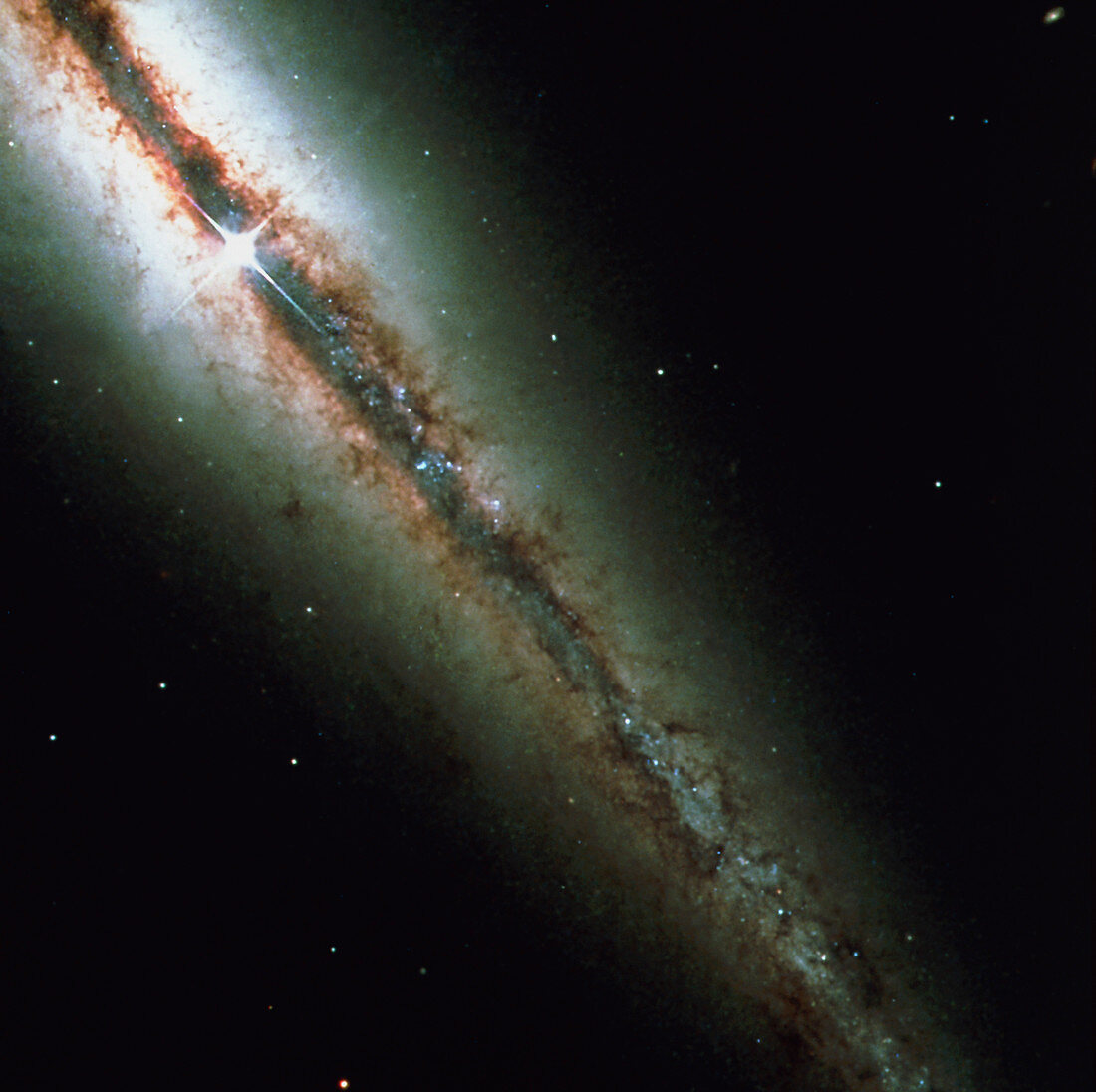 Spiral galaxy NGC 4013