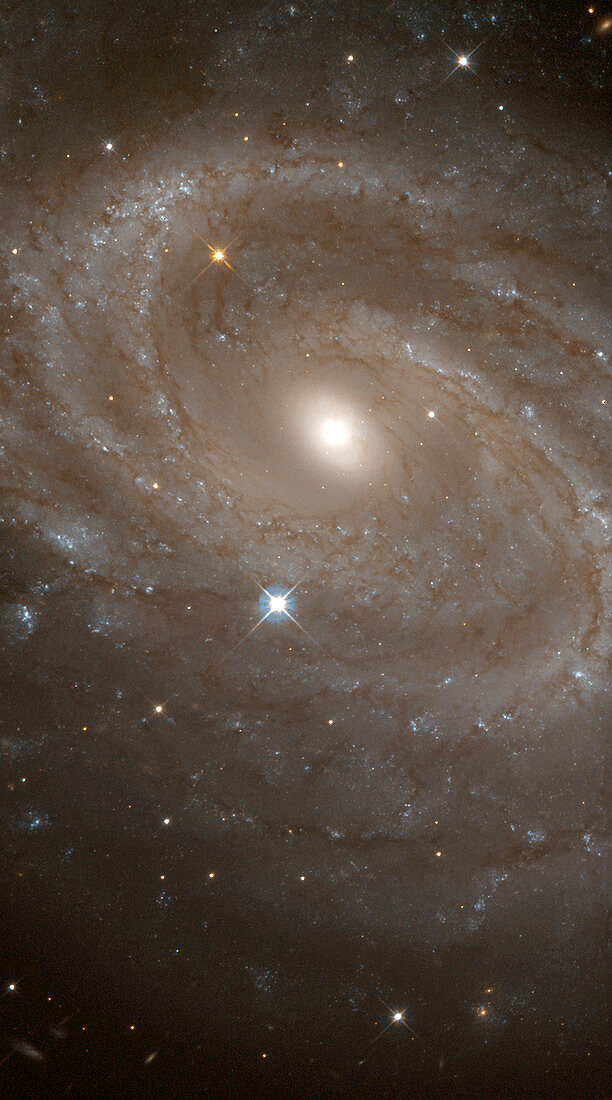 Spiral galaxy NGC 4603
