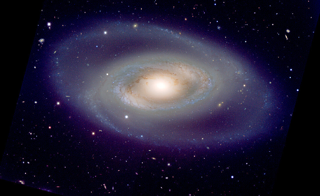 Spiral galaxy NGC 1350