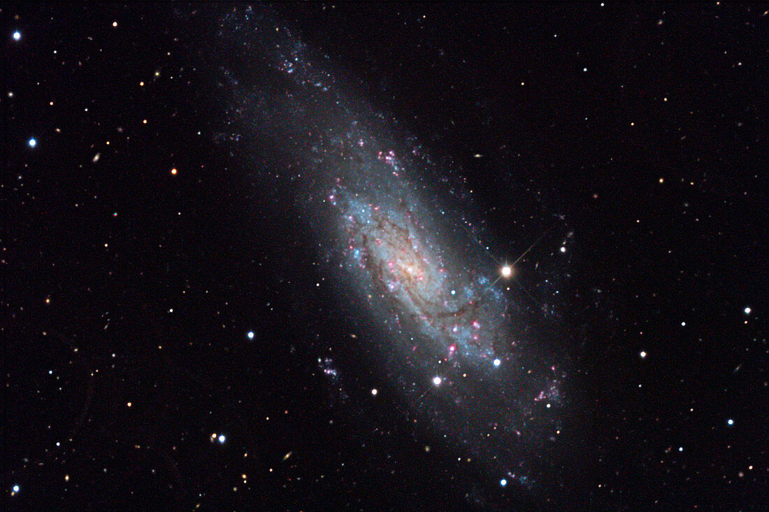 Spiral galaxy NGC 4559