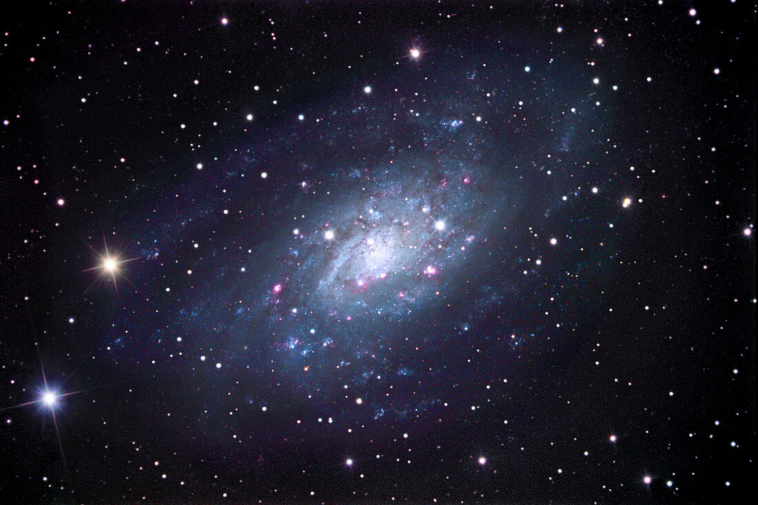 Spiral galaxy NGC 2403