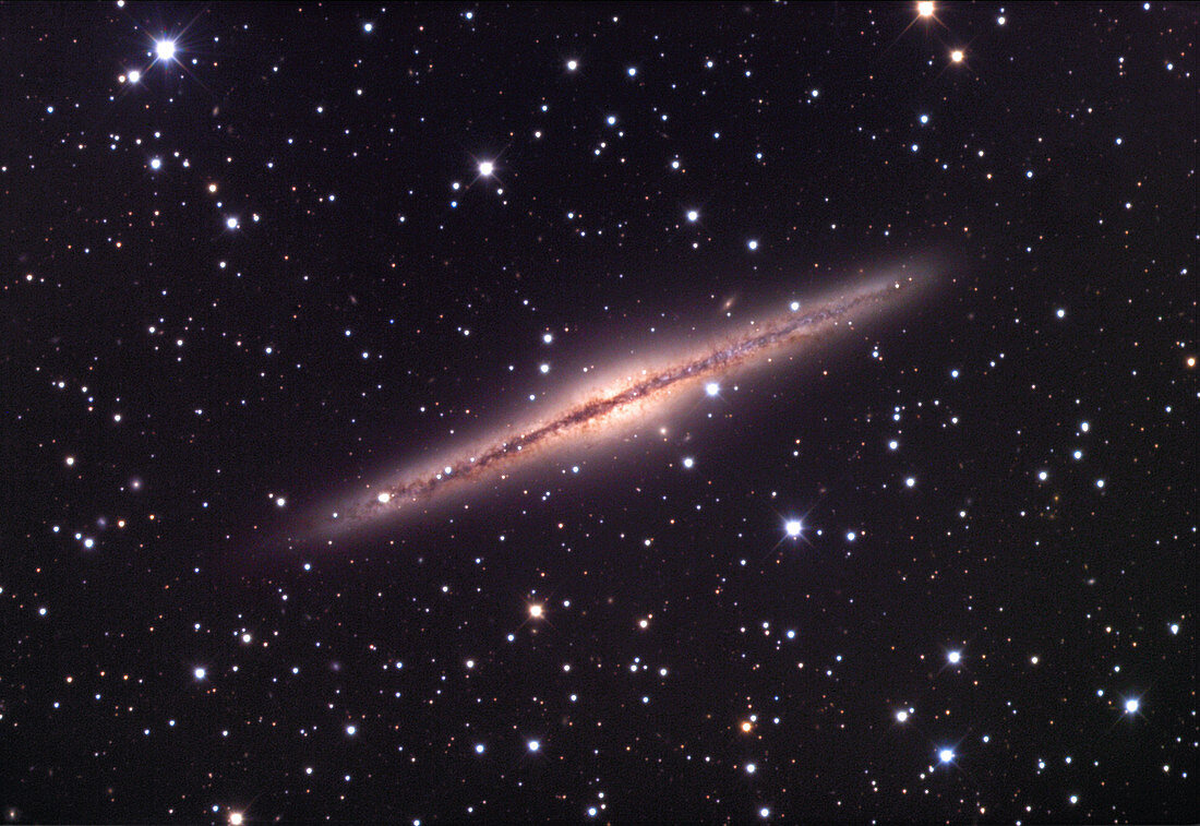 Spiral galaxy NGC 891