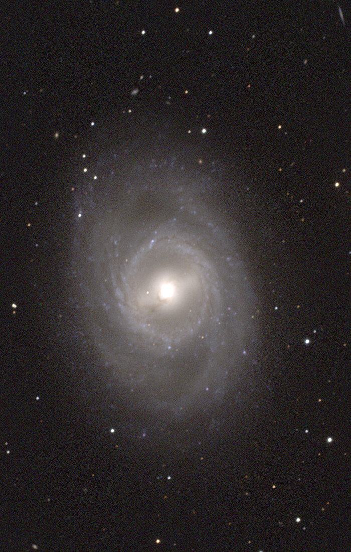 Barred spiral galaxy M95