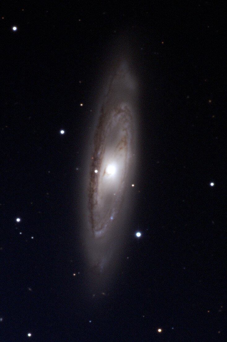 Barred spiral galaxy M65