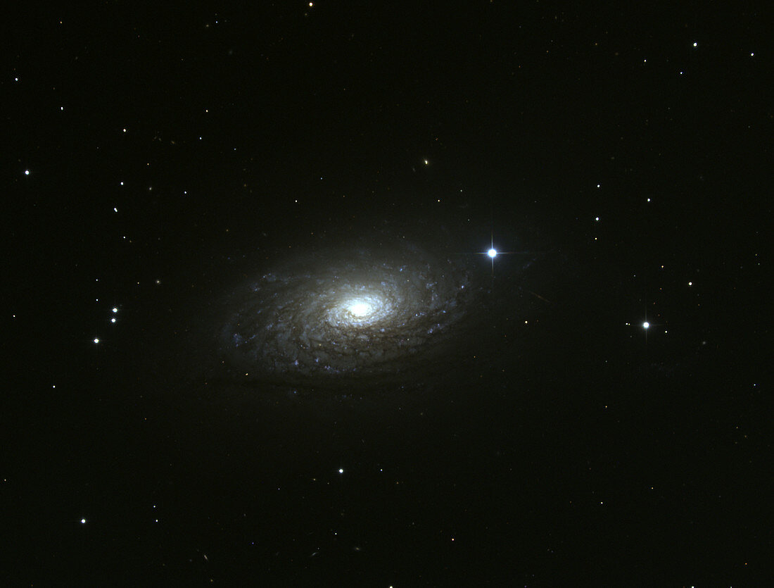 Spiral galaxy M63