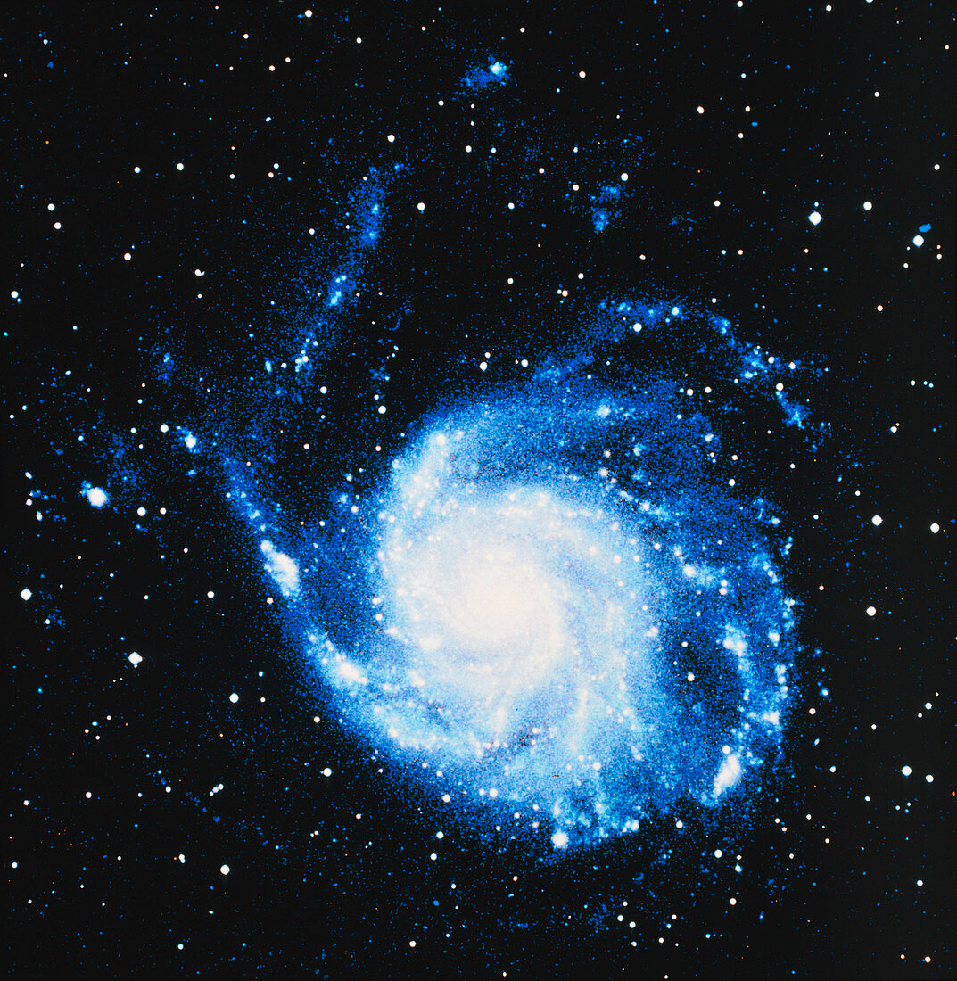 Optical image of M101,the Pinwheel Galaxy