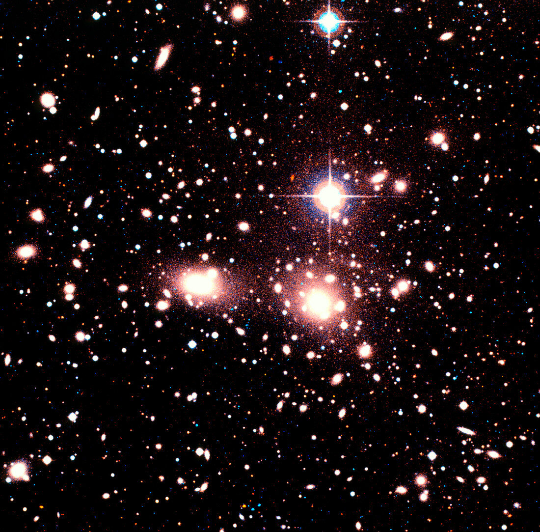 Optical image of galaxies in the Coma cluster