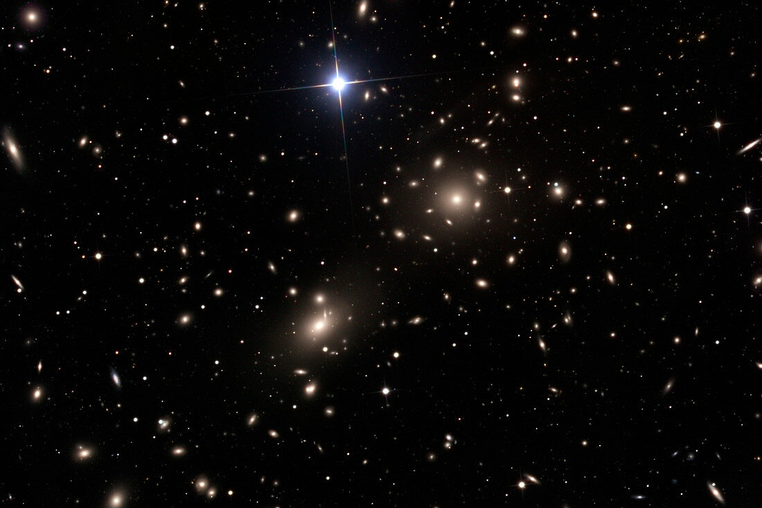 Coma galaxy cluster (Abell 1656)