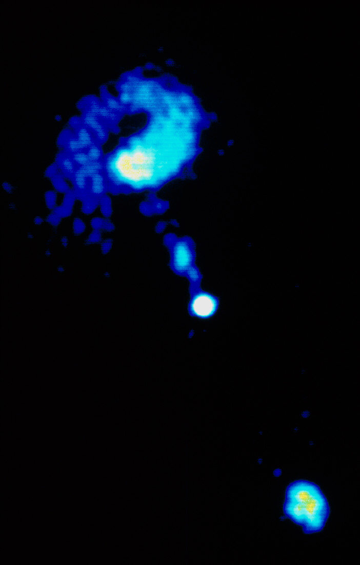 Radio image of quasar 0137 +012