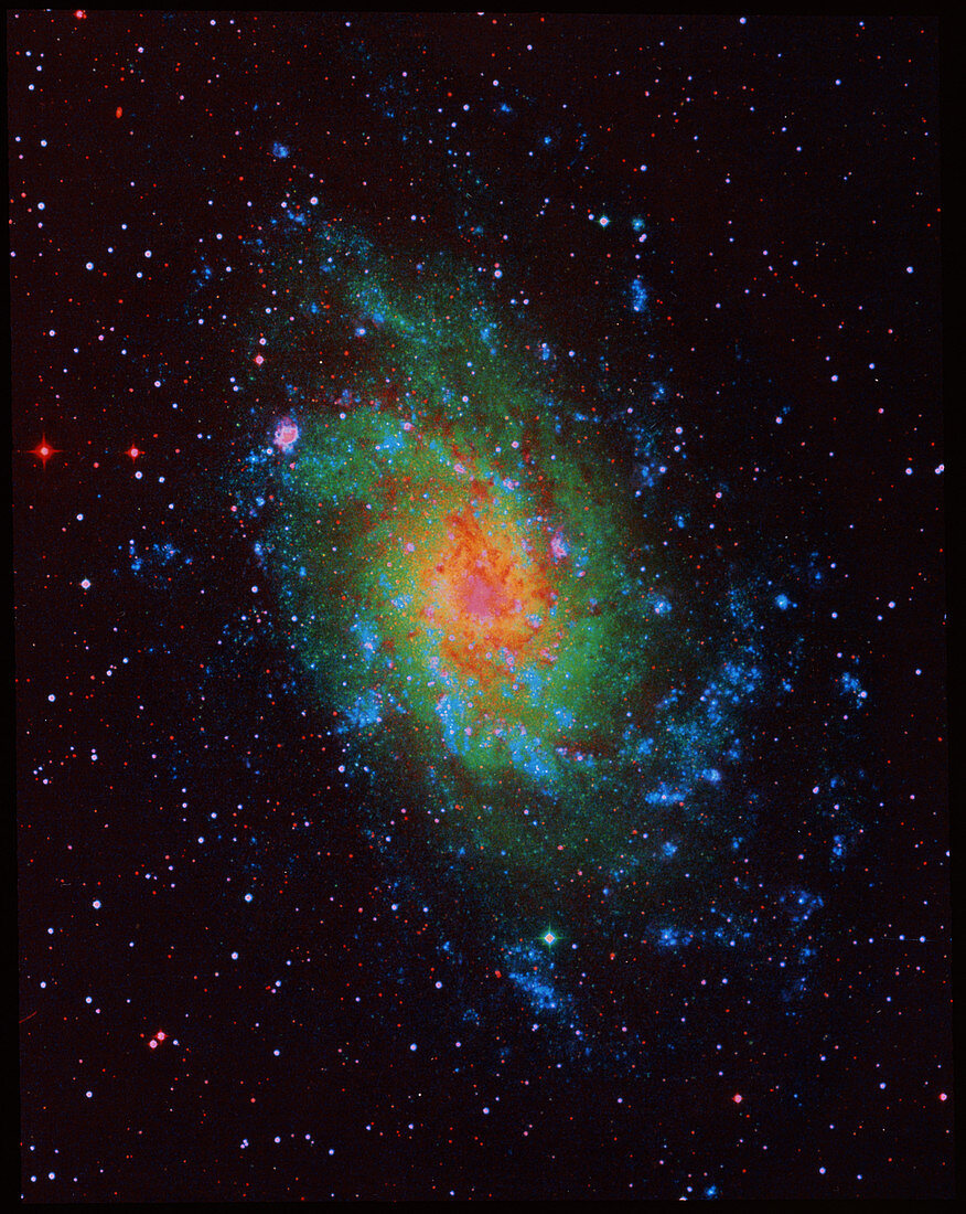 Spiral galaxy M33