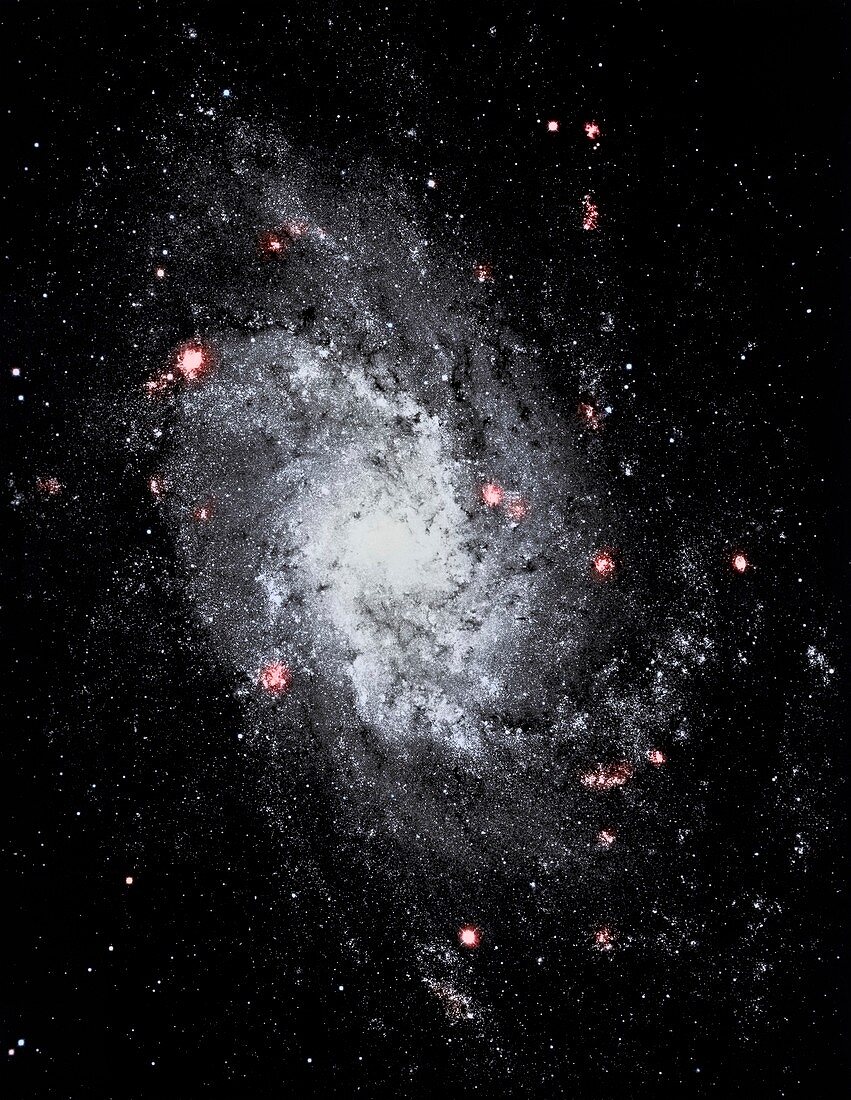Pinwheel galaxy