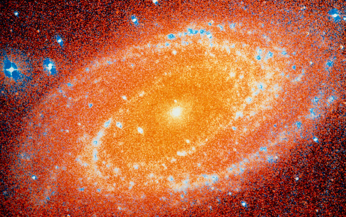 Computer-processed optical photo of galaxy M81